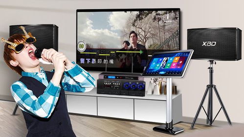 炫寶迪點歌機哪款型號更優(yōu)？音質(zhì)效果與評測全面解析