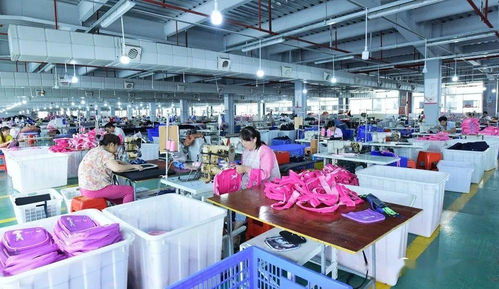 煙臺大龍開發區 軟件產品揚帆出海 打響全球品牌