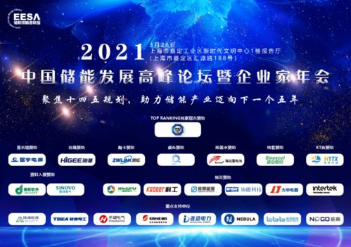 煙臺開發區德聯軟件重點支持2021中國儲能發展高峰論壇暨企業家年會